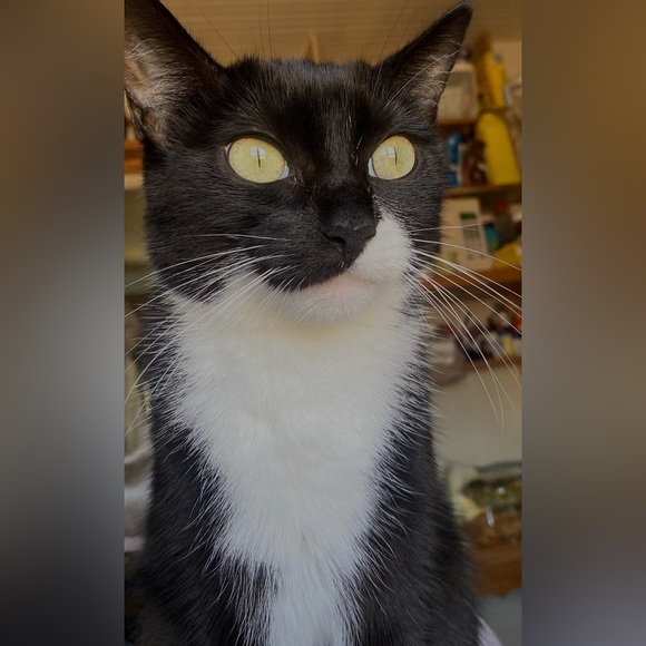 💕TRADE💕 - Picture 12 of 13